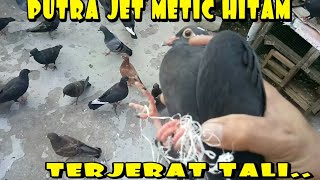 PUTRA JET METIC HITAM TERJERAT BENANG KARUNG [upl. by Emmy]