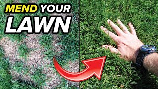 The Absolute Easiest Way To Fix Bare Spots In Your Lawn [upl. by Ohnuj]