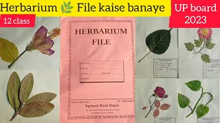 HERBARIUM 🌿 SHEET  UP Board 2023 Herbarium file kaise banaye artartist1m [upl. by Norrehs]