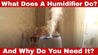 What Does a Humidifier Do Why Do You Need It [upl. by Orlena]