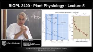 BIOPL3420  Plant Physiology  Lecture 5 [upl. by Plusch]