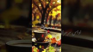 Aaj Ki Chaye  Chai Song  Ganeey  Chai Status  Good Morning Gana  New Status 2024 [upl. by Lashondra]