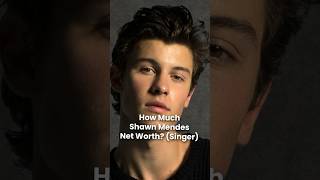 What is Shawn Mendes Net Worth [upl. by Nairadas]