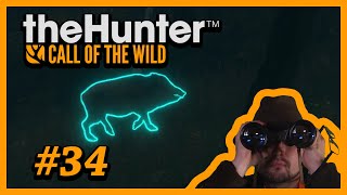 34 Ein Jäger spielt the Hunter  Nu aber [upl. by Haram]