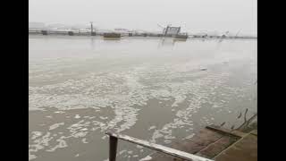 Atmospheric River and King Tide flooding in Westport WA January 12 2021 [upl. by Teahan]