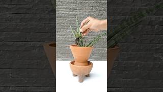 Succulents styling hacks foryou handmade terracottapots plantparent gardenhacks houseplants [upl. by Yanal]