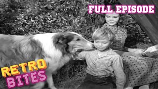 Lassie  Teamwork  Lassie English Full Episodes 🐕 [upl. by Xuerd]