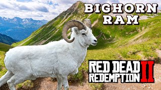 Legendary Bighorn Ram Red Dead Redemption 2 [upl. by Detta]