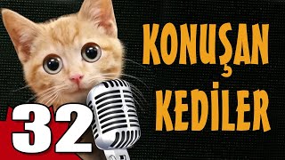 Konuşan Kediler 32  En Komik Kedi Videoları [upl. by Danna708]