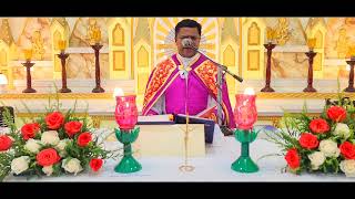 Holy Mass November 28 Tuesday I 530 AM I Malayalam I Syro Malabar I Fr Bineesh Augustine [upl. by Westphal]