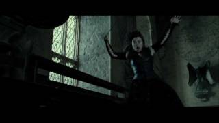 Bellatrix Lestrange vs Molly Weasley HD [upl. by Zailer]