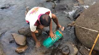 टोकरी लावून चिम्बोऱ्या पकडण्याची पध्दत  Chimbori Pakadnyachi Paddhat  Crab Chaching [upl. by Natal]