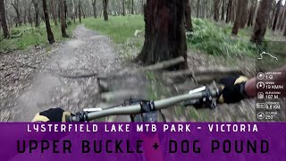 Upper Buckle 3  Dog Pound 17  Lysterfield Lake MTB Park [upl. by Otreblanauj]