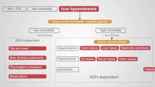 Diagnosing Hyponatremia A Comprehensive Algorithm [upl. by Ezara97]