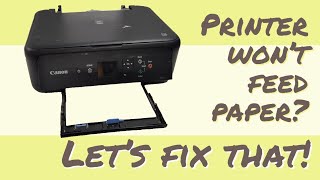 Error Code 1003 Paper Missing Even if Tray is Full Canon PIXMA TS5120 TS5150 [upl. by Ardnoid]