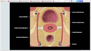 GYNAE IMAGING DIAGNOSTIC IMAGING SERIES [upl. by Trebuh]