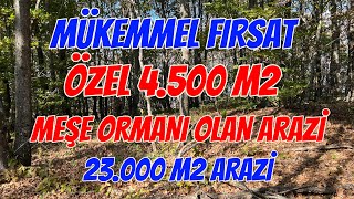 ÖZEL 45 DÖNÜM MEŞE ORMANI OLAN 23 DÖNÜM ARAZİ GÖNEN SEBEPLİ KÖYÜ [upl. by Jacques]