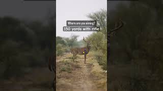 150 yards with a rifle👀 deer deerhunting hunting archery outdoors [upl. by Luhe]