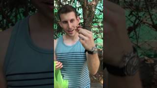 MAN VS FRUIT Guamuchil Manila Tamarind Monkey Pod Rare Tropical Fruit in the Philippines [upl. by Molohs]