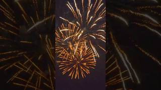 Sparkling moments in the sky fireworks crackers love yt travel shorts shortvideo beautiful [upl. by Semajwerdna]