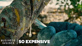 Why Mastic Tree Resin Is So Expensive  So Expensive [upl. by Laicram98]