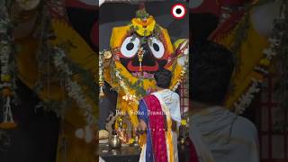 କେତେ ଦୁଃଖ ଦବୁ ଦେରେ କାଳିଆ 😭 Jay Jagannath viralvideo jayjagannath odia jagannathbhajan ysdilip [upl. by Bonny]