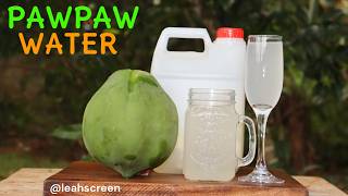 HOW TO MAKE PAPAYA WATER   HOW TO MAKE PAWPAW WATER  PAW PAW WATER RECIPE [upl. by Aicekal181]