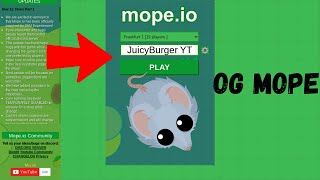 OG MOPEIO UPDATE  NEW FEATURES amp OG ANIMALS [upl. by Hogg246]