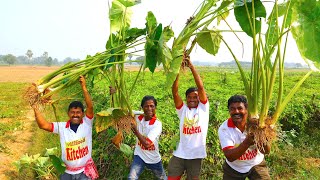 Bengali style cooking Ghot kochu with fish  Taro root and fish curry cooking for village people [upl. by Lotte]