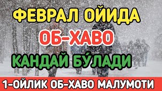 УЗБЕКИСТОНДА ФЕВРАЛ ОЙИДА ОБХАВО КАНДАЙ БУ́ЛАДИ  FEVRAL OYIDA OBHAVO QANDAY BOLADI [upl. by Eisler]