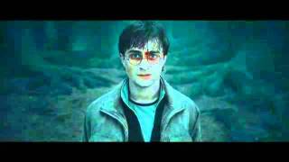 Harry Potter and the Deathly Hallows  Voldemorts AVADA KEDAVRA [upl. by Warthman]