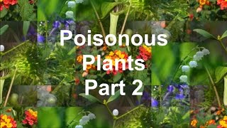 Poisonous Plants Part 2 [upl. by Fanchet]