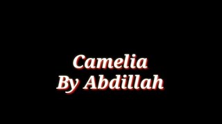 CAMELIA  IRWANSYAH  Cover by Abdillah BM [upl. by Richela479]