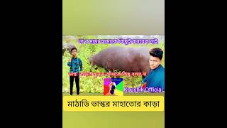 কাড়া লড়াই Kara loraikaraloraishortvideo [upl. by Egin]