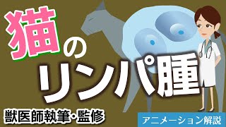 猫のリンパ腫について【獣医師執筆監修】症状から治療方法まで [upl. by Irby163]