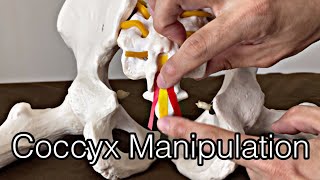 How to do neural manipulation for coccygeal nerve English [upl. by Nylia]