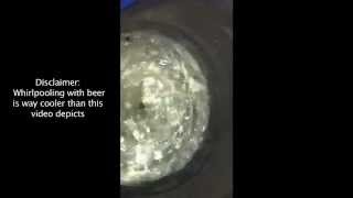 Brewhouse Whirlpool Test [upl. by Bing558]