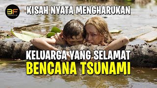 KISAH NYATA KELUARGA YANG SELAMAT TSUNAMI TERBESAR DIDUNIA  Alur Cerita Film The Impossible [upl. by Katrine]