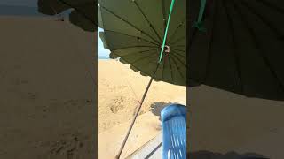 Beach Chair and Umbrella shorts [upl. by Owen]