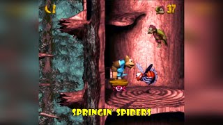 World 2  Springin Spiders 4  Donkey Kong Country 3 SNES [upl. by Ynafetse]