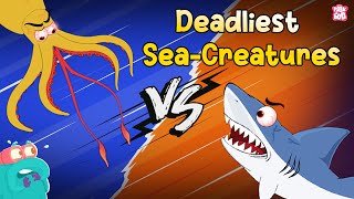 Deadliest Sea Creatures  Underwater Killers  Shark vs Giant Squid  The Dr Binocs Show [upl. by Woodson83]