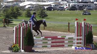 571S Madelyn Floyd on Seahawk Defence JR Novice Show Jumping Rebecca Farm July 2017 [upl. by Jakob]