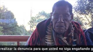 Taita Querubín La Verdad sobre Ayahuasca Internacional [upl. by Naxela384]