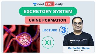 Excretory System  Lecture 3  Unacademy NEET  LIVE DAILY  NEET Biology  Dr Sachin Kapur [upl. by Ardra618]