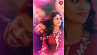 Saathiya Bin Tere Dil Mane Na Lyrics Status  90s Hit Song Alka YagnikAnupama Parameswaran shorts [upl. by Gruchot]