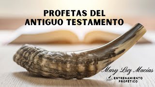 PROFETAS DEL ANTIGUO TESTAMENTO [upl. by Tare]