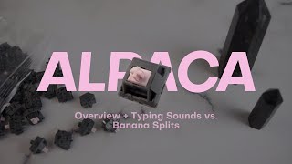 Cute and Clacky  Alpaca Switch Overview [upl. by Aikrehs]