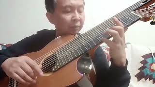 D Scarlatti Sonata K 14 Abada Hongbing Zhang 11 String Alto Guitar [upl. by Sadoc704]