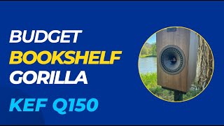 KEF Q150 Speakers Budget Bookshelf Gorilla [upl. by Asilrac329]