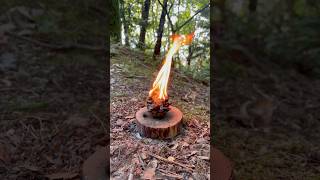 Easily flammable spruce seed 🌲 asmr experiment survival camping forest fire outdoors [upl. by Huntington]